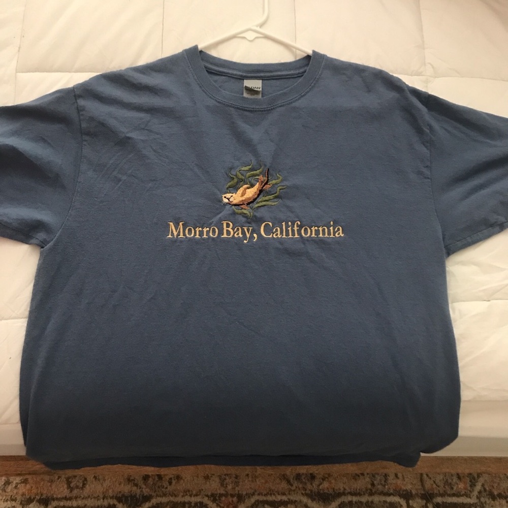 Super cute oversized tee